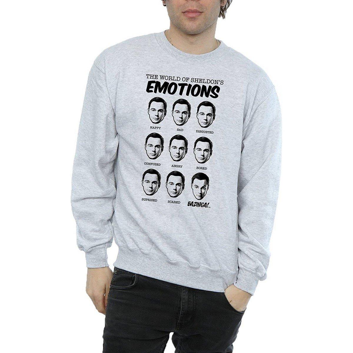Sweatshirt Herren Grau XL von The Big Bang Theory