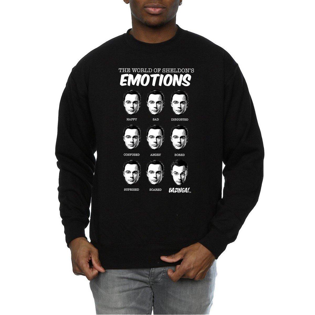 Sweatshirt Herren Schwarz L von The Big Bang Theory