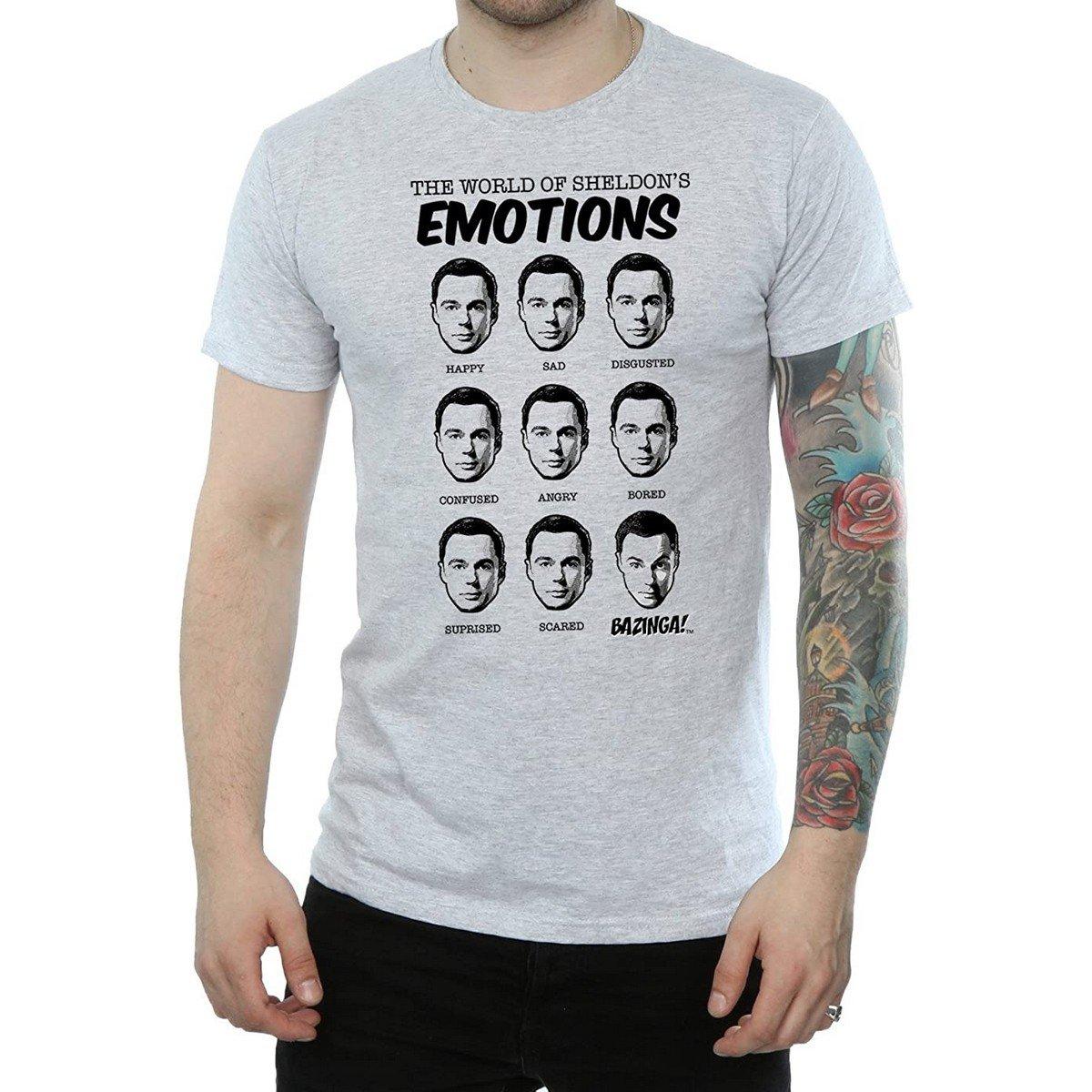 Tshirt Herren Grau 3XL von The Big Bang Theory