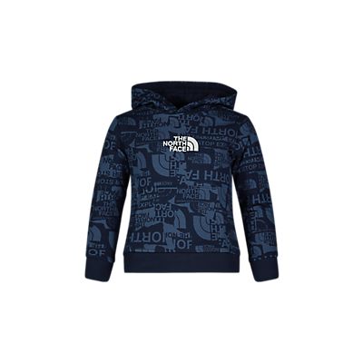 Drew Peak Light Kinder Hoodie von The North Face