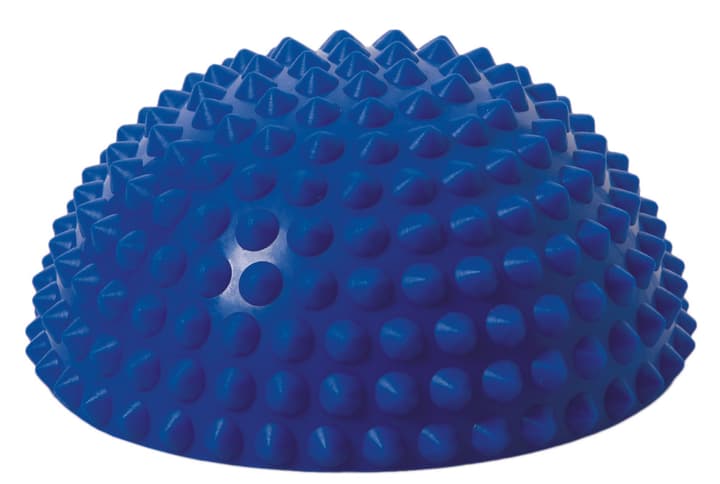 Togu Senso Balance Igel Balance-Trainer Togu Senso Balance Igel Balance-Trainer von Togu