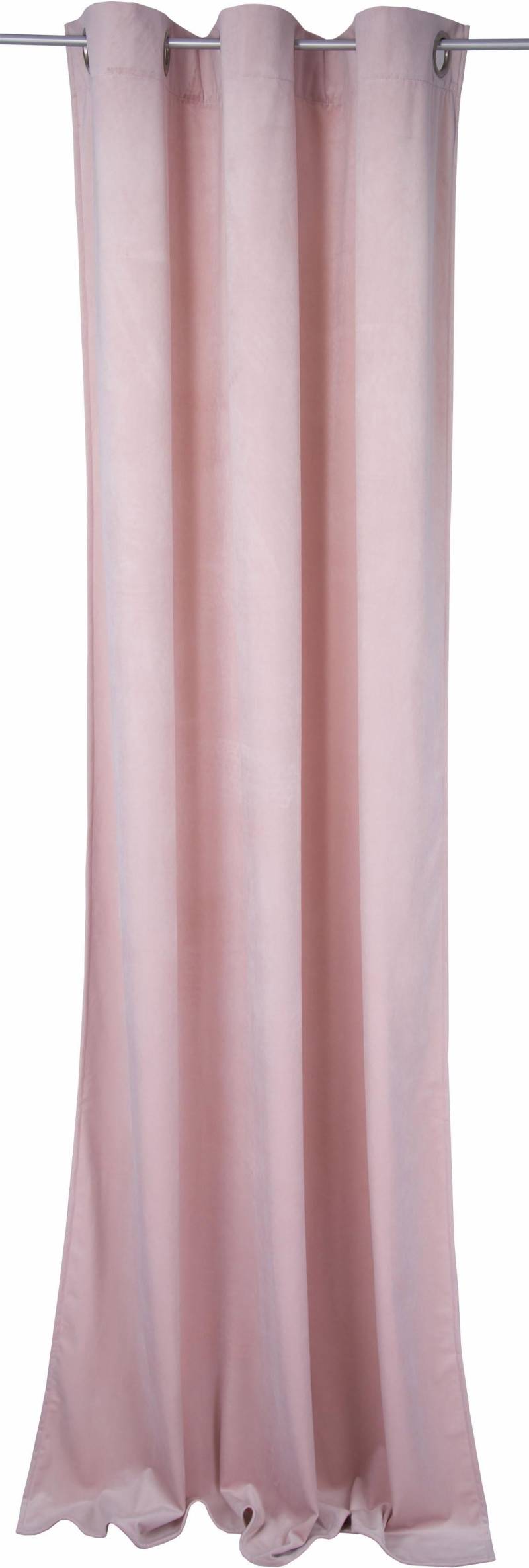 TOM TAILOR HOME Vorhang »FRENCH VELVET«, (1 St.), HxB: 245x135 von TOM TAILOR HOME