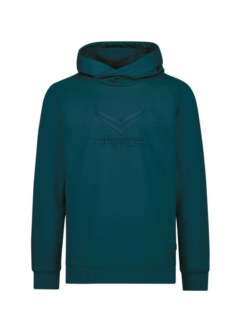 Trigema Kapuzensweatshirt »TRIGEMA Kapuzenpullover mit grossem 3D-Motiv« von Trigema