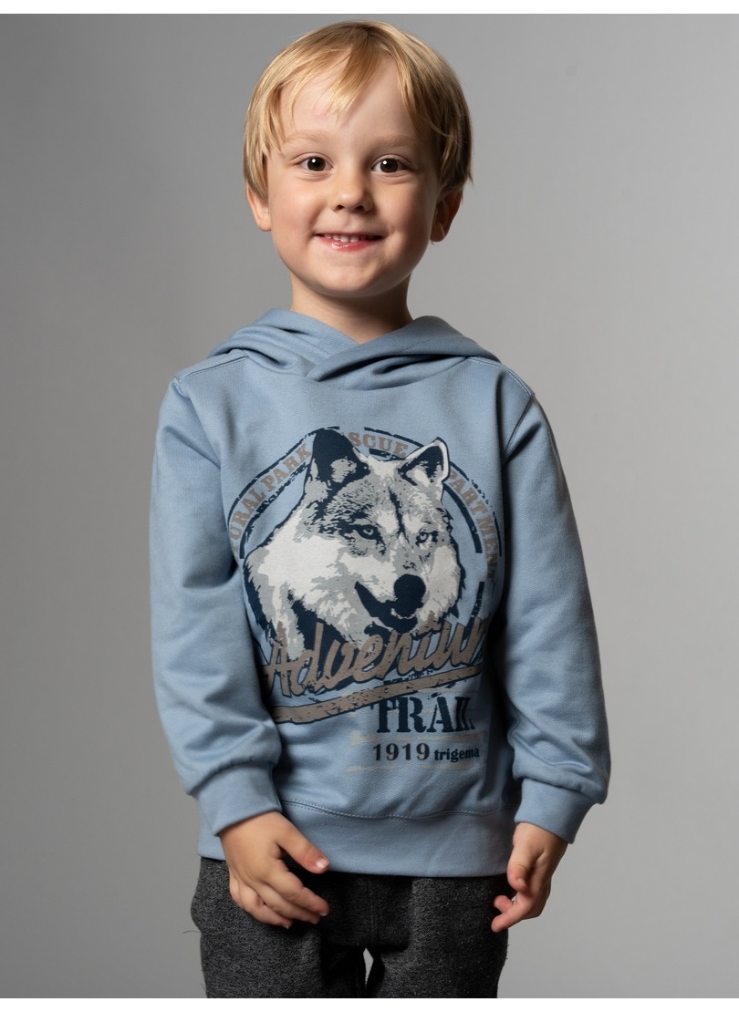 Trigema Sweatshirt »TRIGEMA Hoodie mit grossem Wolf-Print« von Trigema