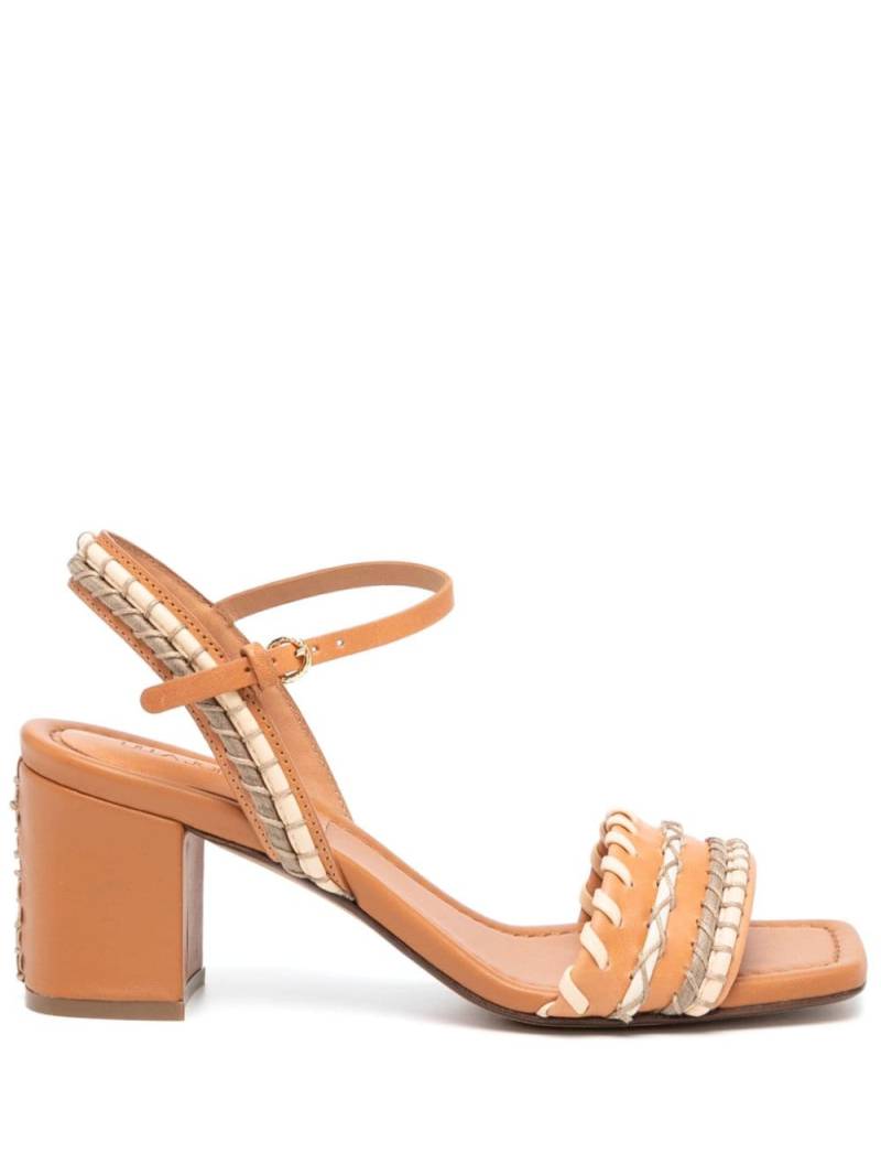 Ulla Johnson Sofia 70mm interwoven leather sandals - Brown von Ulla Johnson