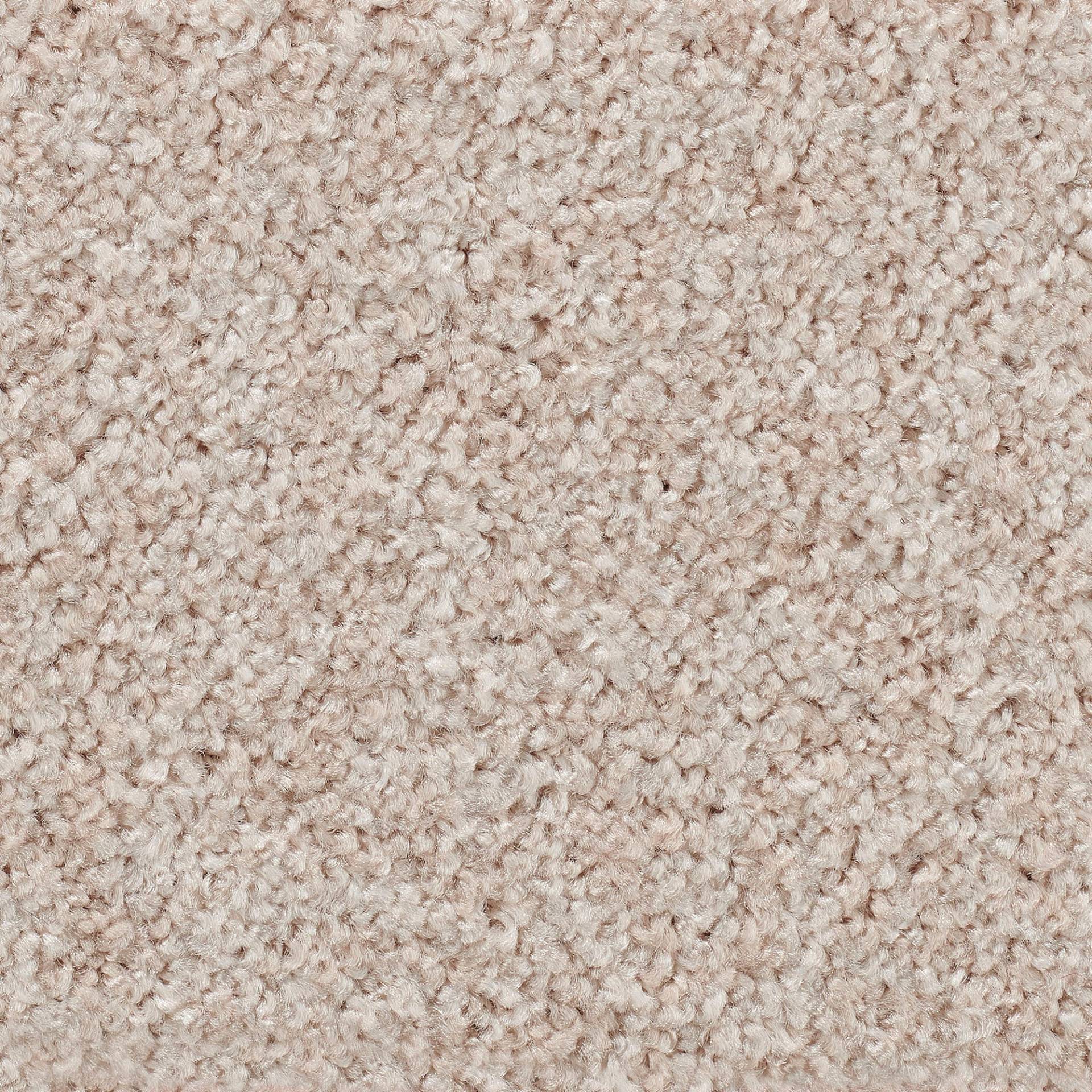 Vorwerk Teppichboden »Passion 1055, Velours - Uni Farben«, rechteckig, 7,6 mm Höhe, Wohnzimmer, Schlafzimmer, Kinderzimmer, Breite 400/500 cm Vorwerk Teppichboden »Passion 1055, Velours - Uni Farben«, rechteckig, 7,6 mm Höhe, Wohnzimmer, Schlafzimmer, Kinderzimmer, Breite 400/500 cm von Vorwerk