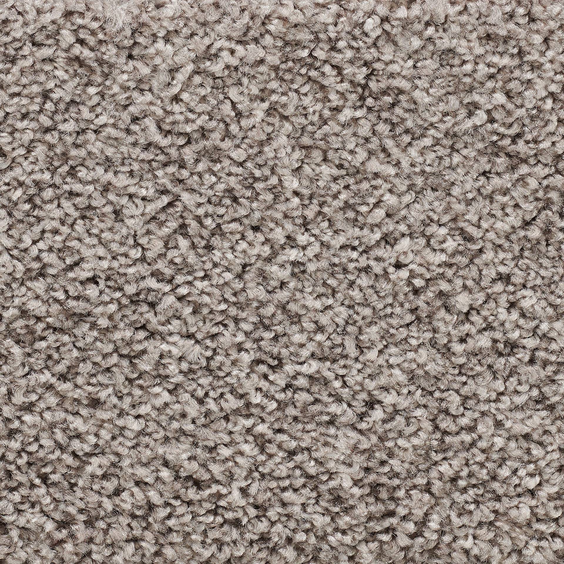 Vorwerk Teppichboden »Passion 1055, Velours - Uni Farben«, rechteckig, 7,6 mm Höhe, Wohnzimmer, Schlafzimmer, Kinderzimmer, Breite 400/500 cm Vorwerk Teppichboden »Passion 1055, Velours - Uni Farben«, rechteckig, 7,6 mm Höhe, Wohnzimmer, Schlafzimmer, Kinderzimmer, Breite 400/500 cm von Vorwerk