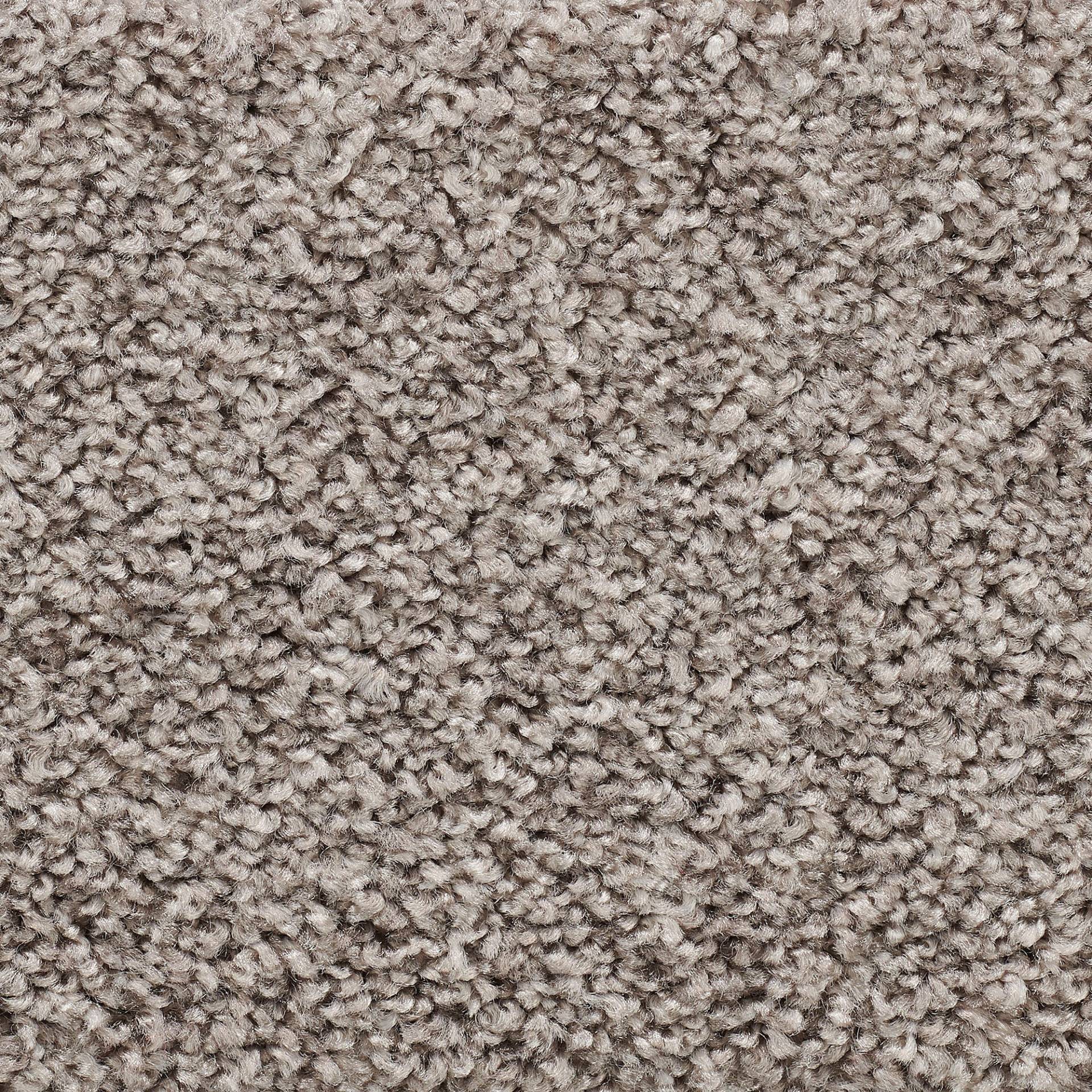 Vorwerk Teppichboden »Passion 1055, Velours - Uni Farben«, rechteckig, 7,6 mm Höhe, Wohnzimmer, Schlafzimmer, Kinderzimmer, Breite 400/500 cm Vorwerk Teppichboden »Passion 1055, Velours - Uni Farben«, rechteckig, 7,6 mm Höhe, Wohnzimmer, Schlafzimmer, Kinderzimmer, Breite 400/500 cm von Vorwerk