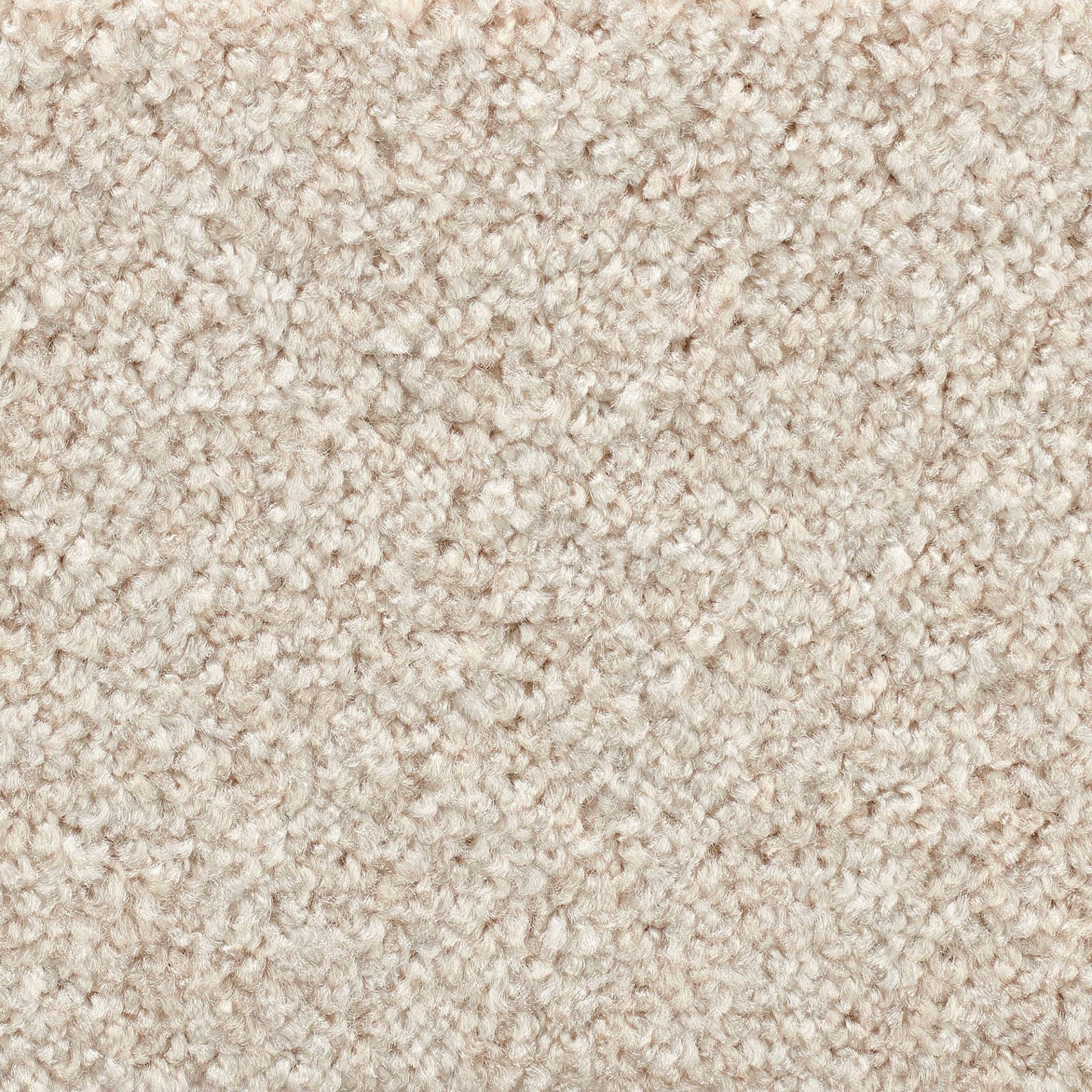 Vorwerk Teppichboden »Passion 1055, Velours - Uni Farben«, rechteckig, 7,6 mm Höhe, Wohnzimmer, Schlafzimmer, Kinderzimmer, Breite 400/500 cm Vorwerk Teppichboden »Passion 1055, Velours - Uni Farben«, rechteckig, 7,6 mm Höhe, Wohnzimmer, Schlafzimmer, Kinderzimmer, Breite 400/500 cm von Vorwerk