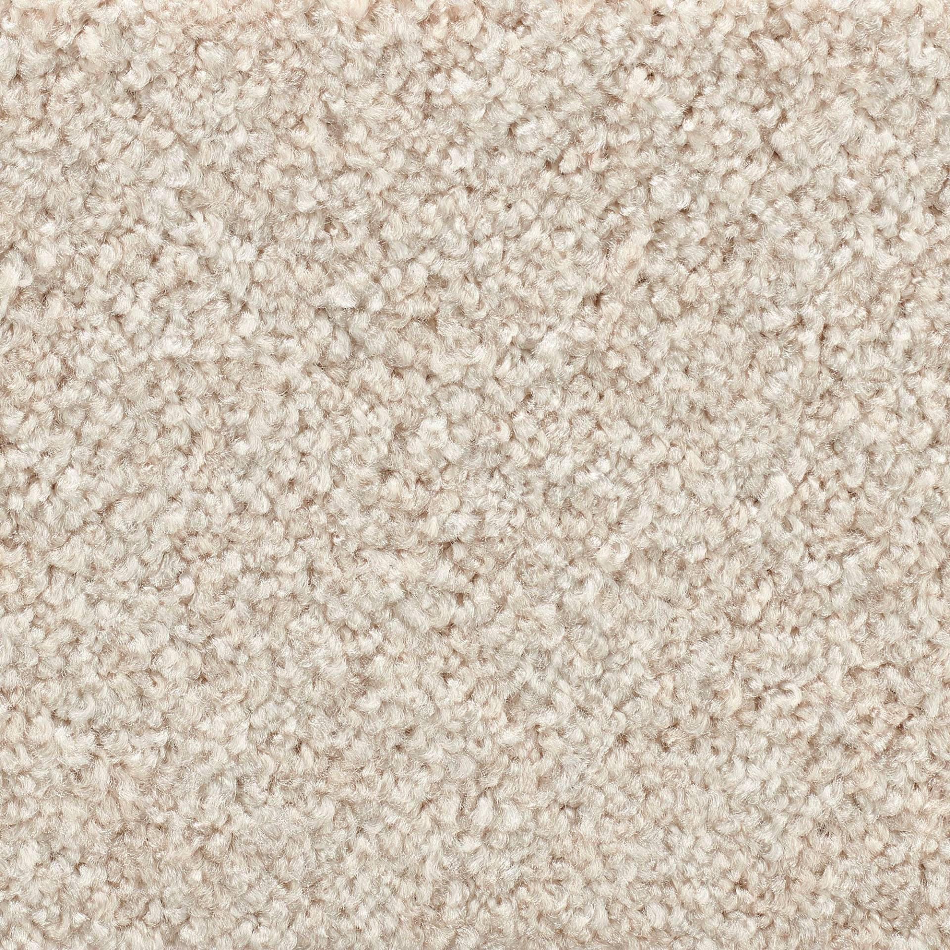 Vorwerk Teppichboden »Passion 1055, Velours - Uni Farben«, rechteckig, 7,6 mm Höhe, Wohnzimmer, Schlafzimmer, Kinderzimmer, Breite 400/500 cm Vorwerk Teppichboden »Passion 1055, Velours - Uni Farben«, rechteckig, 7,6 mm Höhe, Wohnzimmer, Schlafzimmer, Kinderzimmer, Breite 400/500 cm von Vorwerk