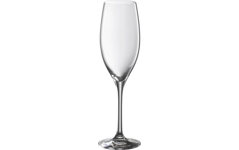 WMF Champagnerglas »EasyPlus 250 ml 6 Stück« von WMF