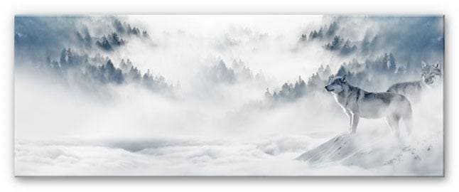 Wall-Art Acrylglasbild »Wölfe im Schnee Panorama« von Wall-Art