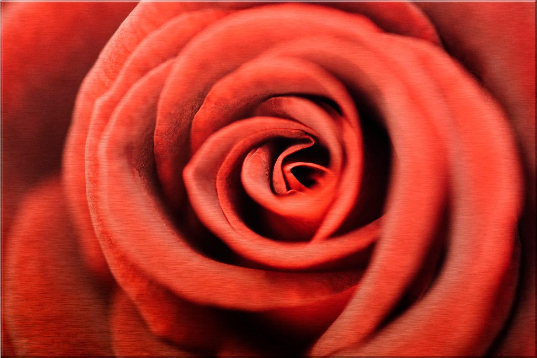 Wall-Art Metallbild »Rote Rose« von Wall-Art