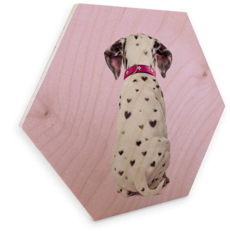 Wall-Art Holzbild »Dalmatiner Holzbild Hunde Bilder«, (1 St.) von Wall-Art