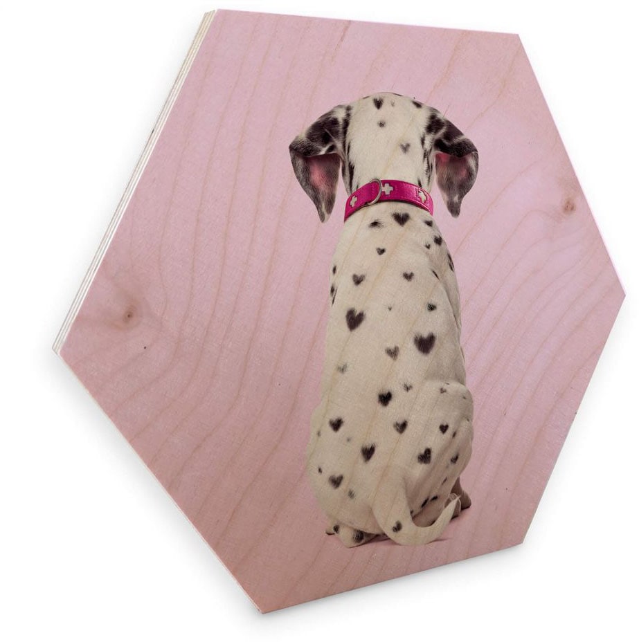 Wall-Art Holzbild »Dalmatiner Holzbild Hunde Bilder«, Tiere, (1 St.) von Wall-Art
