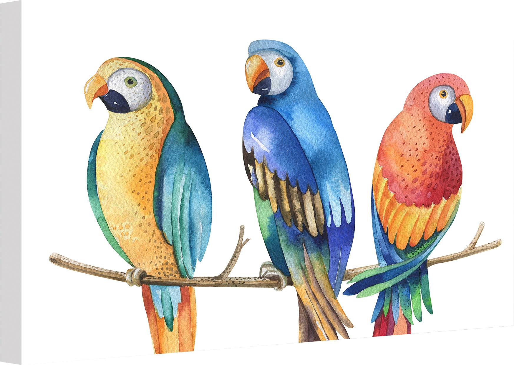 Wall-Art Leinwandbild »Kvilis - Bunte Papageien« von Wall-Art