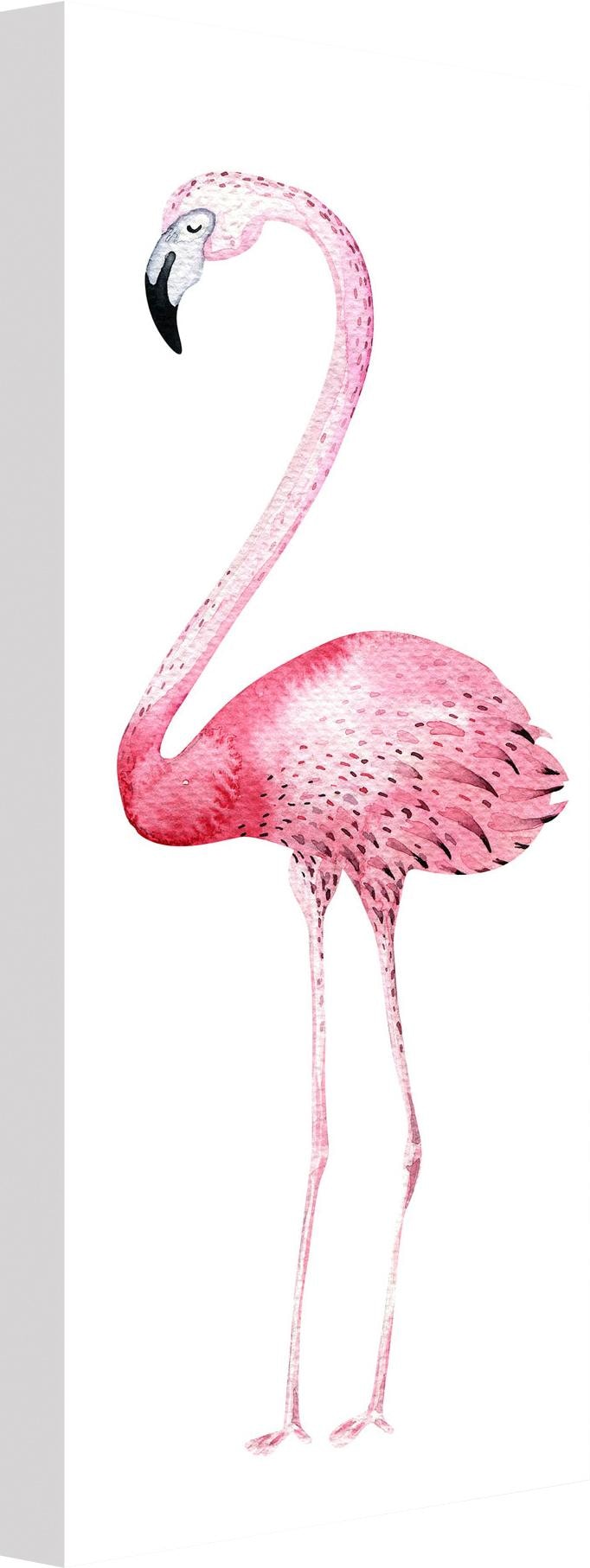 Wall-Art Leinwandbild »Kvilis - Pink Flamingo 01« von Wall-Art