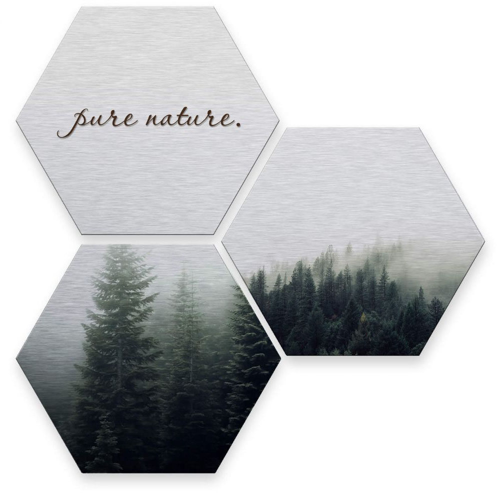 Wall-Art Mehrteilige Bilder »Silber Effekt Pure Nature Wald«, Pflanzen, (Set, 3 St.) von Wall-Art