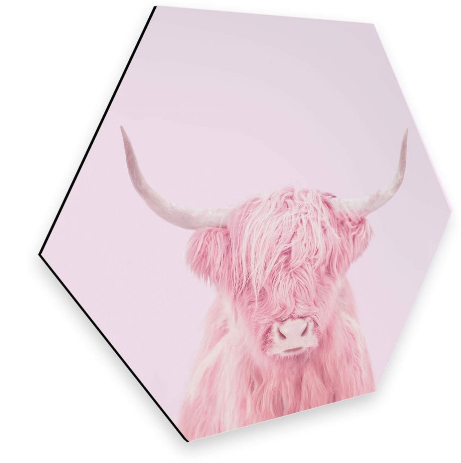 Wall-Art Metallbild »Hochland Rind Rosa Türschild«, Marmor, (1 St.) von Wall-Art