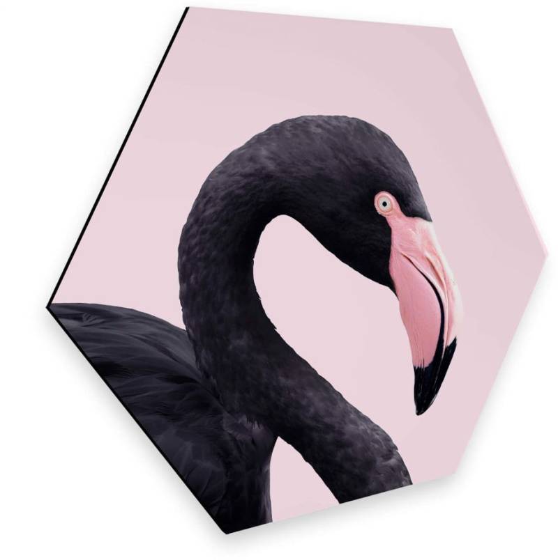 Wall-Art Metallbild »Rosa Flamingo Pink Black Hexagon«, (1 St.) von Wall-Art