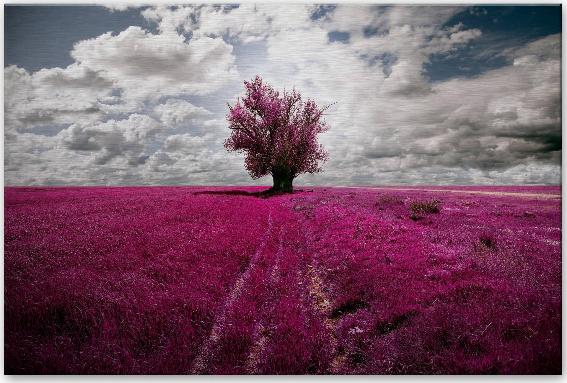 Wall-Art Metallbild »The Lonely Tree Blühender Baum« von Wall-Art