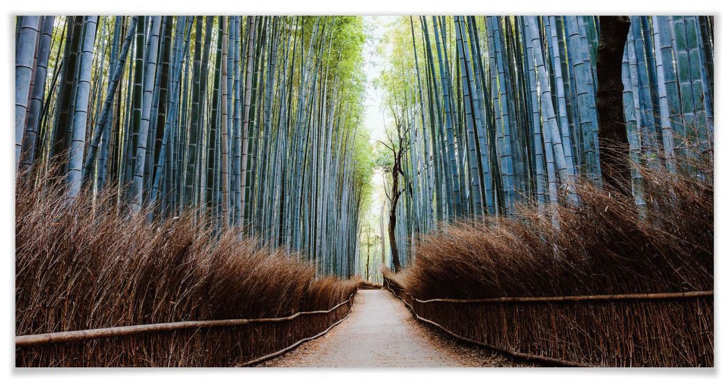 Wall-Art Poster »Bambuswald Fotokunst Japan«, Höhlen, (Set, 1 St.) von Wall-Art