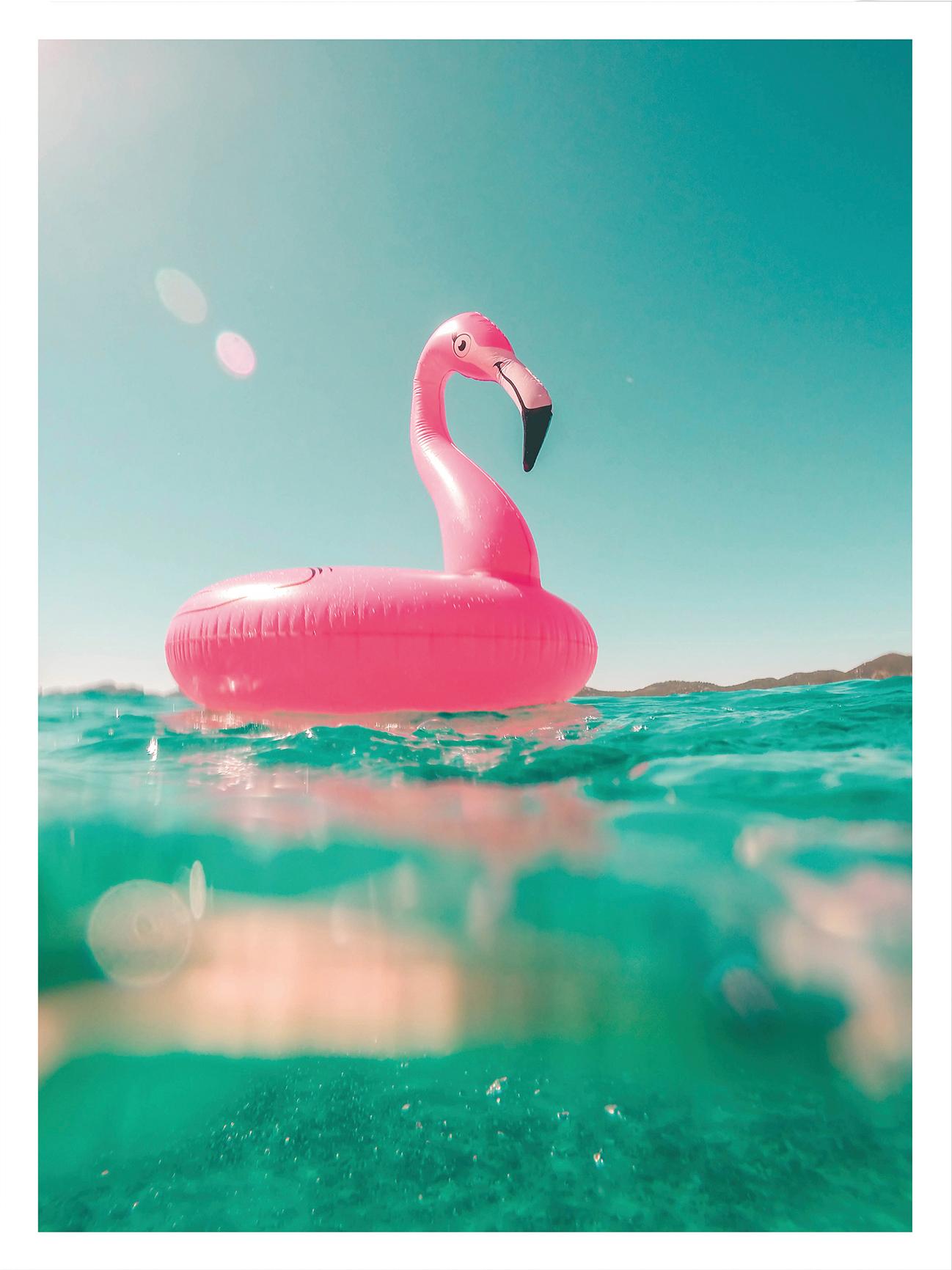Wall-Art Poster »Flamingo macht Urlaub am Meer« von Wall-Art