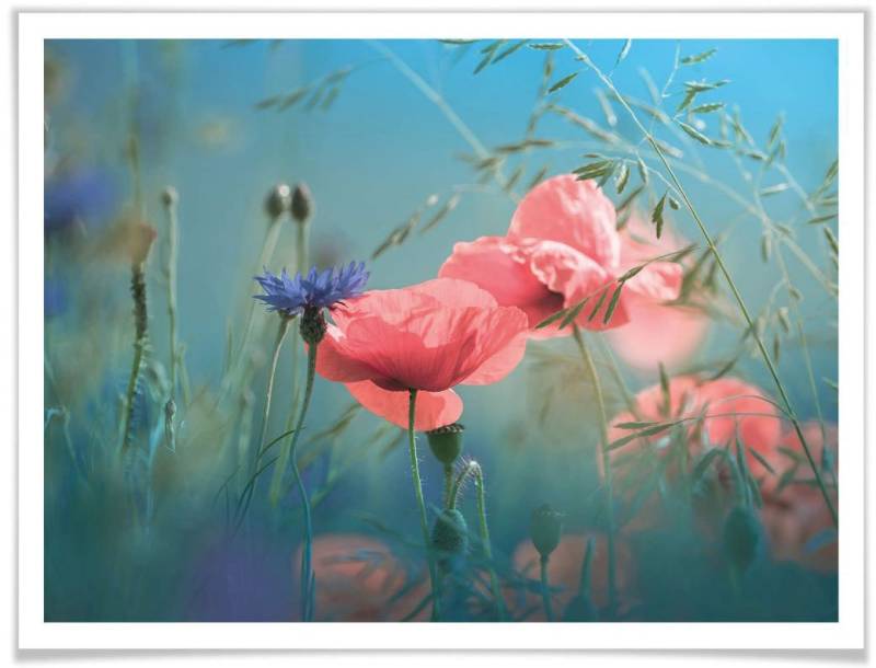 Wall-Art Poster »Wildblumen Aquamarin«, Blumen, (Set, 1 St.) von Wall-Art