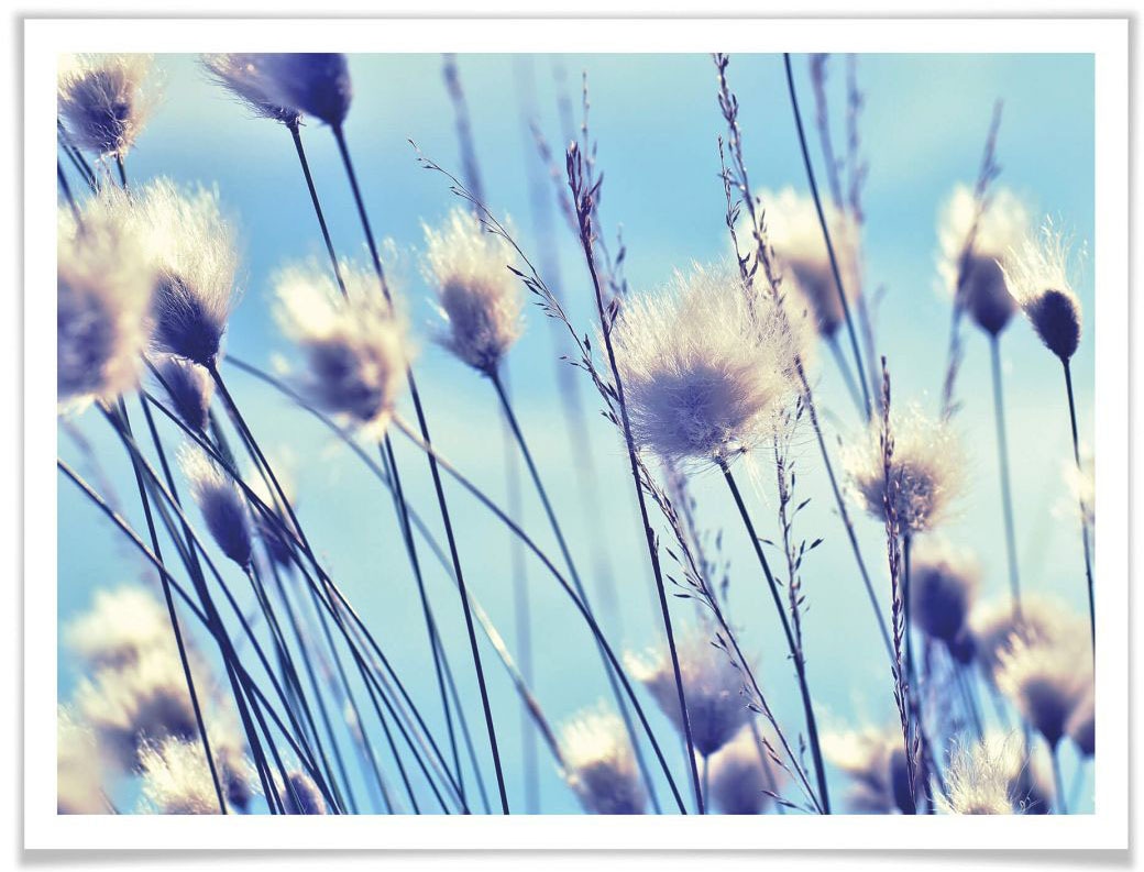 Wall-Art Poster »Wind im Gras«, Landschaften, (1 St.) von Wall-Art