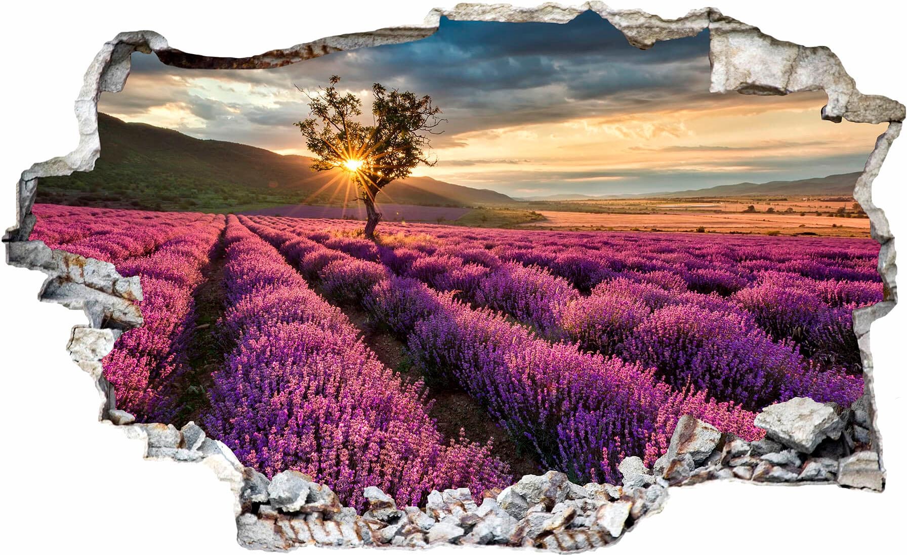 Wall-Art Wandtattoo »Lavendel in der Provence« von Wall-Art