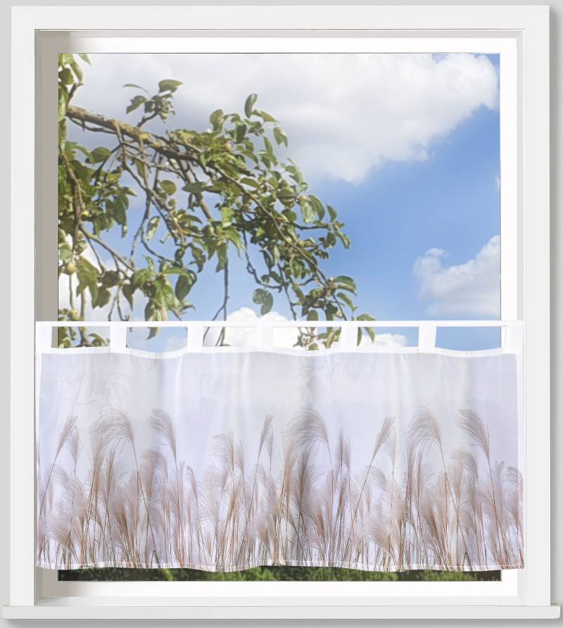 Weckbrodt Scheibengardine »Pampasgras«, (1 St.), Bistro, Voile, bedruckt, floral, HxB 45x120cm, Gardine, Store von Weckbrodt