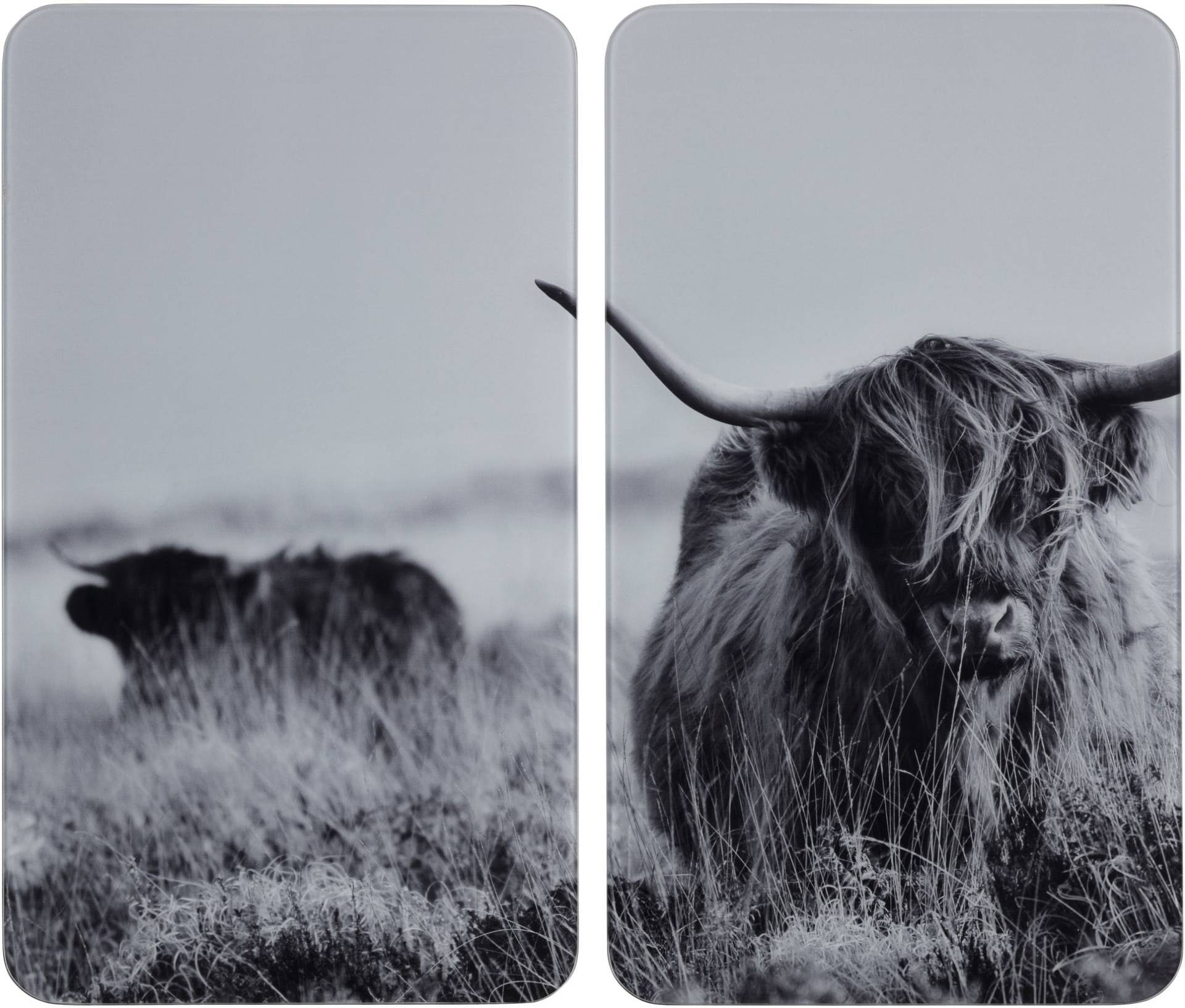 WENKO Herd-Abdeckplatte »Highland Cattle«, (Set, 2 tlg.), für alle Herdarten von Wenko