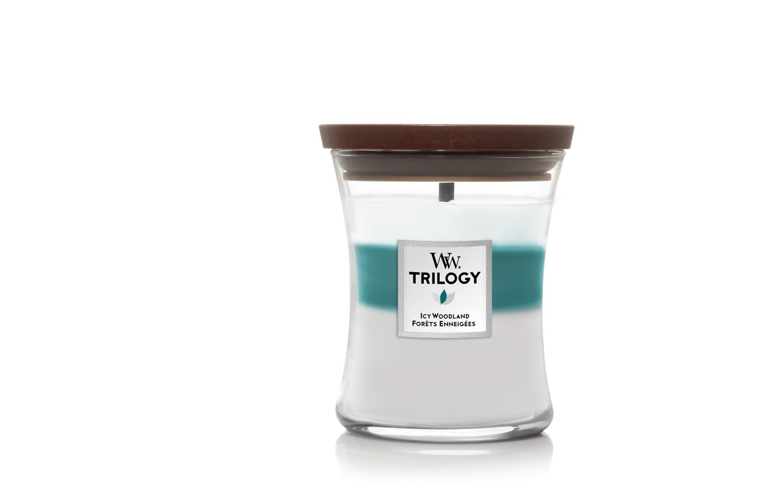Woodwick Duftkerze »Icy Woodland« Woodwick Duftkerze »Icy Woodland« von Woodwick