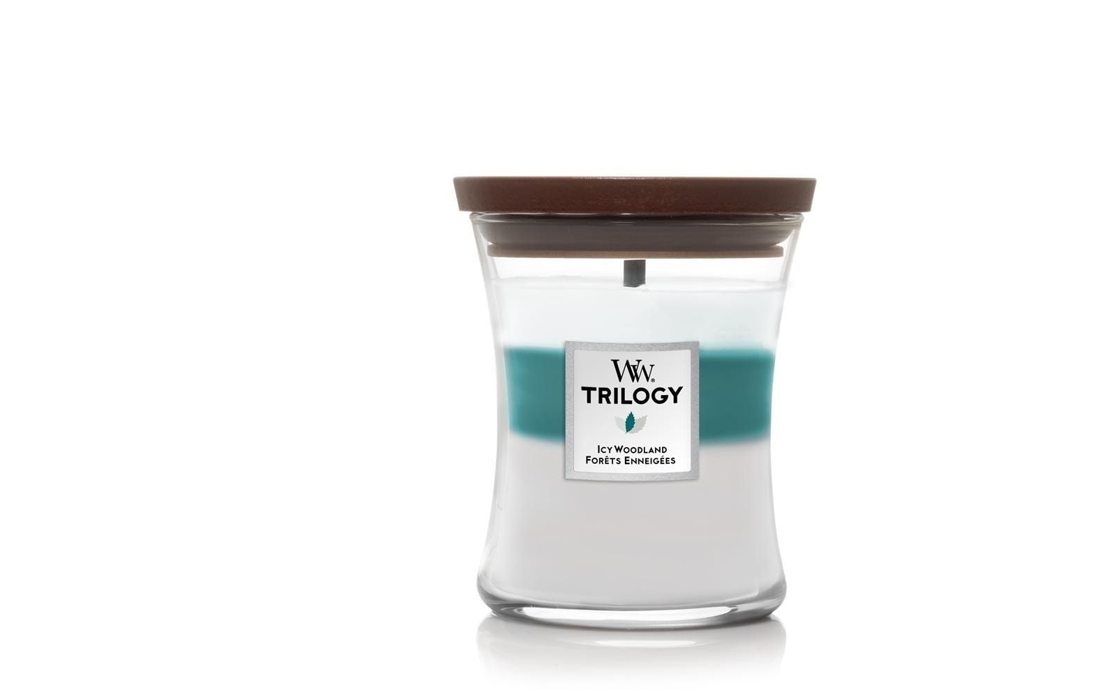 Woodwick Duftkerze »Icy Woodland« von Woodwick