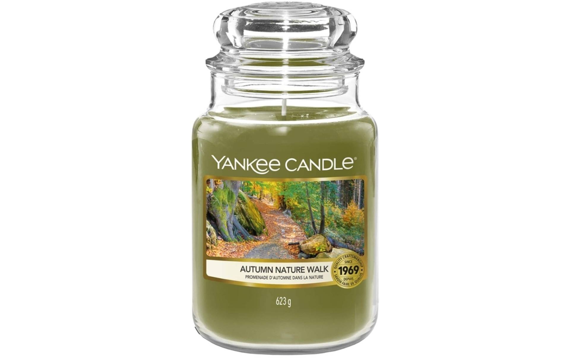 Yankee Candle Duftkerze »Autumn Nature Walk« von Yankee Candle