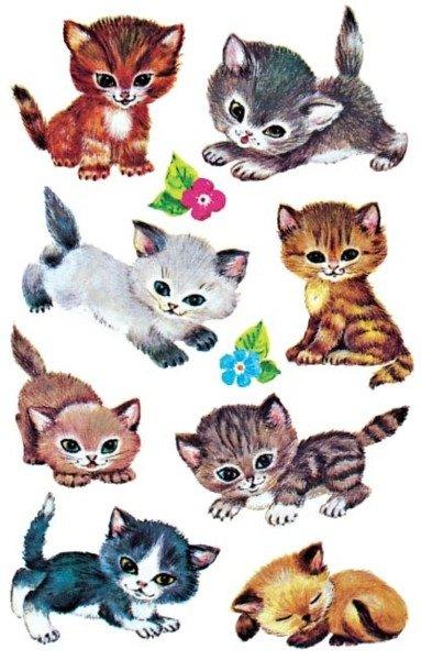 Sticker Kids 4346 Katzen 3 Stück Sticker Kids 4346 Katzen 3 Stück von Z-DESIGN