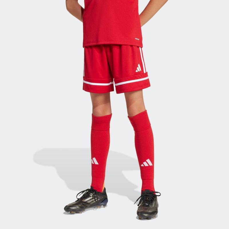 adidas Performance Trainingsshorts »SQUA25 SHO Y«, (1 tlg.) von adidas Performance