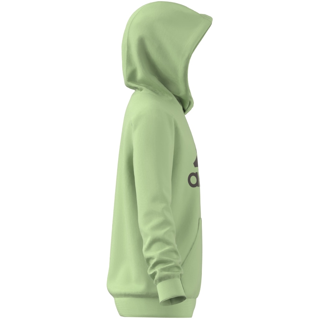 adidas Sportswear Kapuzensweatshirt »BIG LOGO ESSENTIALS COTTON HOODIE« von adidas Sportswear