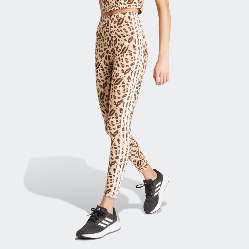 adidas Sportswear Leggings »ANML 3S LEG«, (1 tlg.) von adidas Sportswear