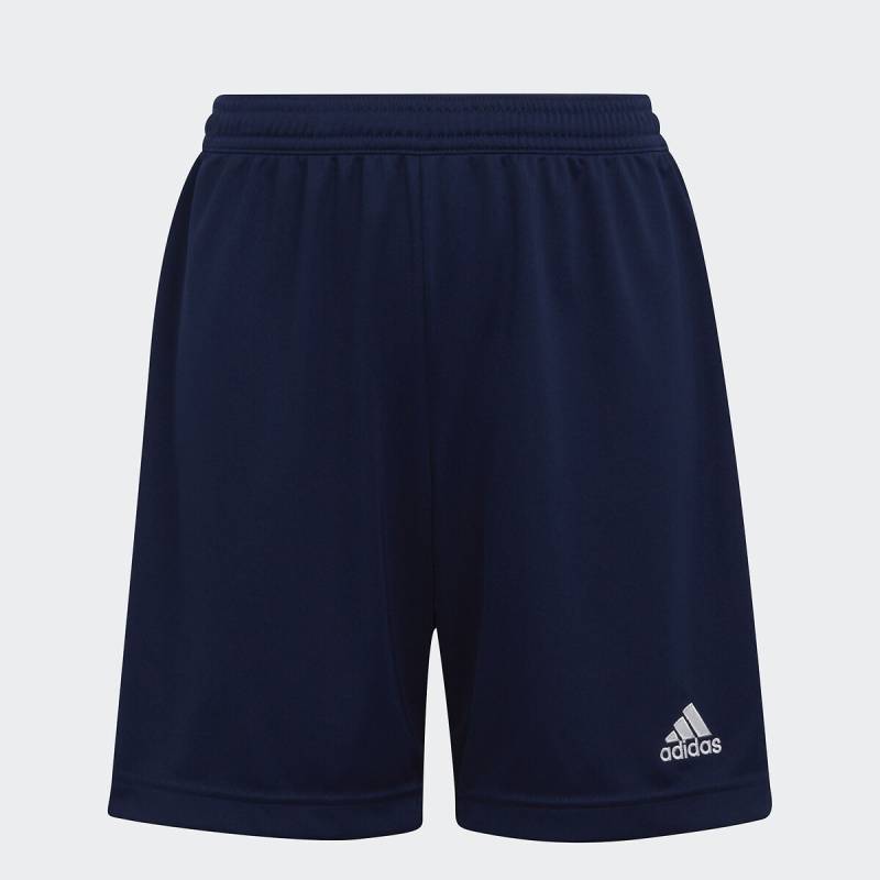 Fussballshorts von adidas performance