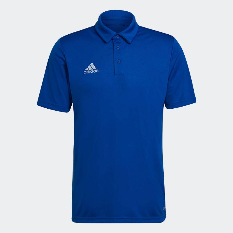 adidas Performance Poloshirt »ENT22 POLO« von adidas performance