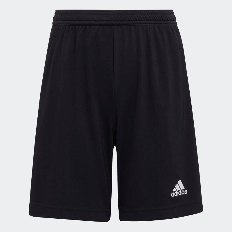 adidas Performance Trainingsshorts »ENT22 SHO Y«, (1 tlg.) von adidas performance