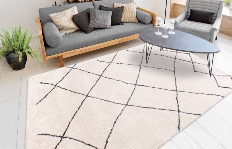 calo-deluxe Hochflor-Teppich »Elvar-5000«, rechteckig, 27 mm Höhe, besonders weich durch Microfaser, Wohnzimmer von calo-deluxe
