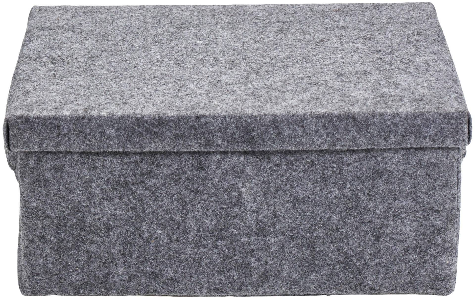 diaqua® Aufbewahrungsbox »Stone 31 x 21 x 14 cm, Grau«, (1 St.) von diaqua®