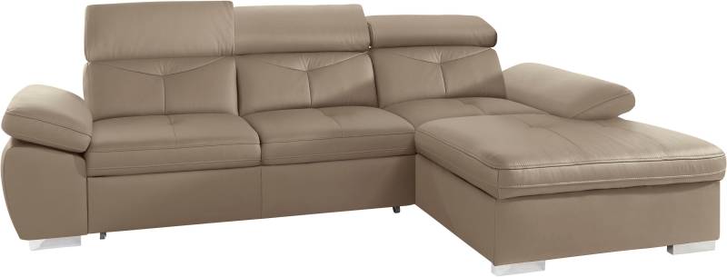 exxpo - sofa fashion Ecksofa »Spring, super bequem, mit Armteil- und Kopfteilfunktion, OTTOs Choice«, L-Form, wahlweise mit Bettfunktion und Bettkasten von exxpo - sofa fashion