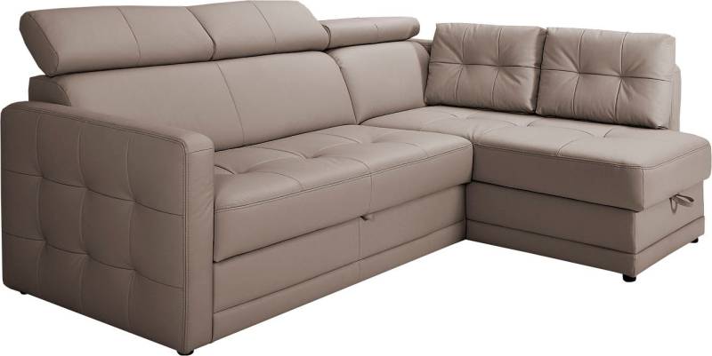 exxpo - sofa fashion Ecksofa »Arles, bequeme Federkernunterfederung, OTTOs Choice, L-Form«, wahlweise mit Bettfunktion und Bettkasten, inkl. Kopfteilverstellung von exxpo - sofa fashion