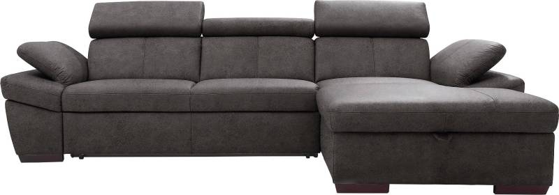 exxpo - sofa fashion Ecksofa »Salerno, klassisch modernes Funktionssofa, hoher Sitzkomfort, L-Form«, inkl. Kopf- und Armteilverstellung, wahlweise mit Bettfunktion von exxpo - sofa fashion