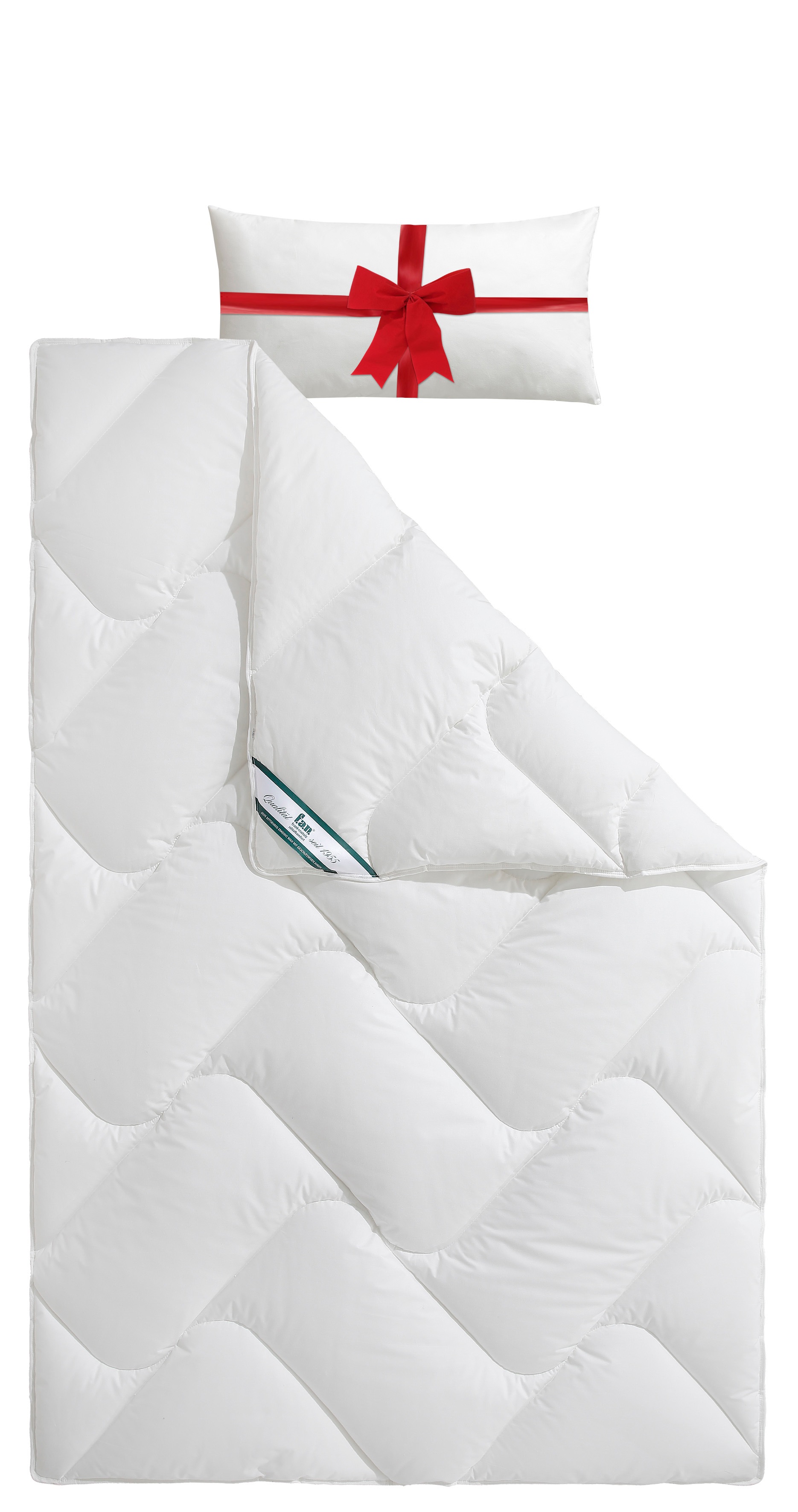 fan Kunstfaserbettdecke »f.a.n. Antibac mit antibakterieller Wirkung«, normal, Füllung Polyester, Bezug Baumwolle, (1 St.), passend zur Bettdecke GRATIS dazu 1 Kopfkissen 40x80 cm! von fan