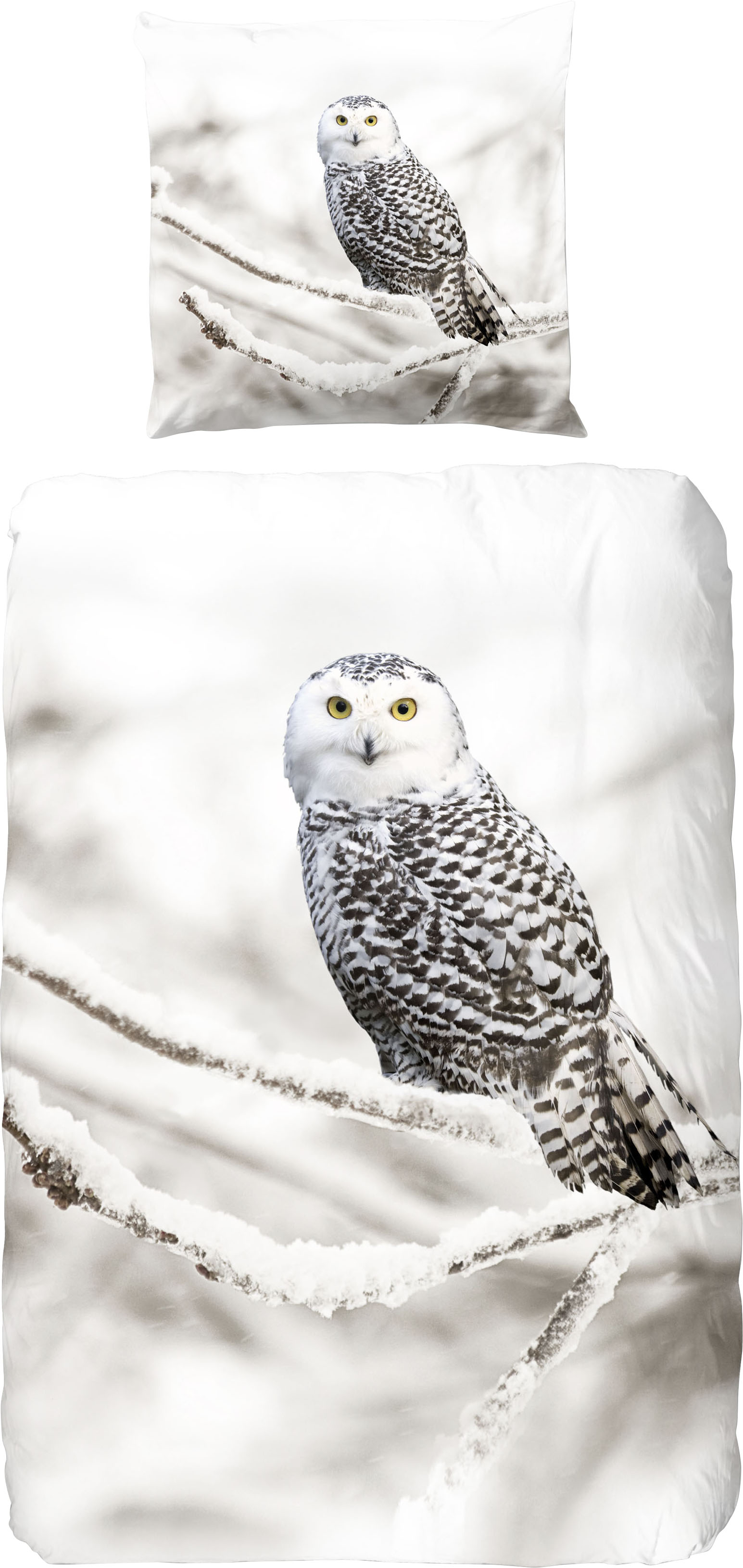 good morning Bettwäsche »Snowy Owl«, (2 tlg.) von good morning