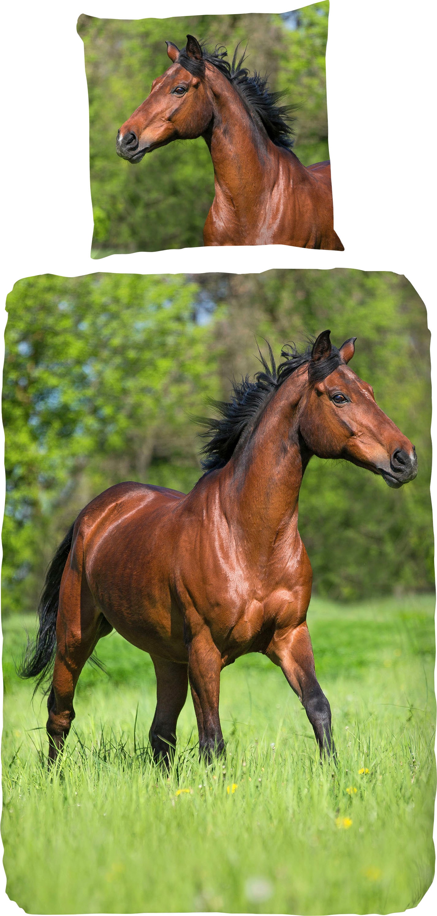 good morning Kinderbettwäsche »Running horse«, (2 tlg.) von good morning